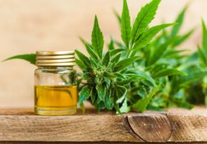 CBD cream